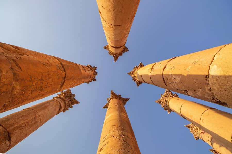 From Amman: Full day Jerash and Amman city Tour - What the Driver Adds (And Why No Local Guide Matters)