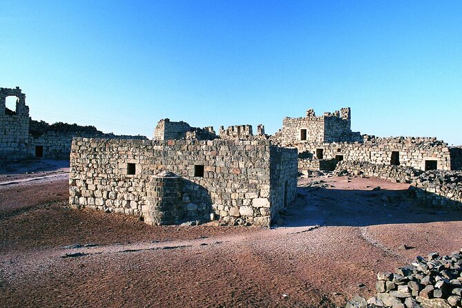 From Amman: Full-Day Tour to Amman City and Desert Castles - Drivers who make the difference, and how to get more from the day
