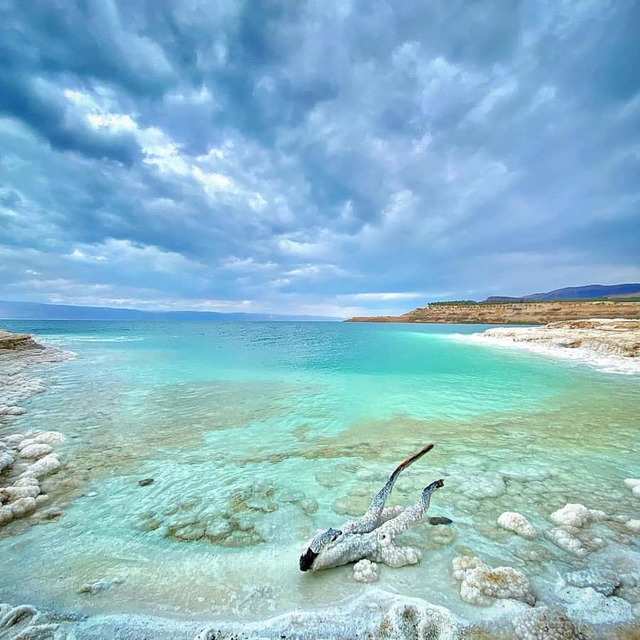 From Amman: Half-Day Tour to Dead Sea - Key highlights you will feel right away