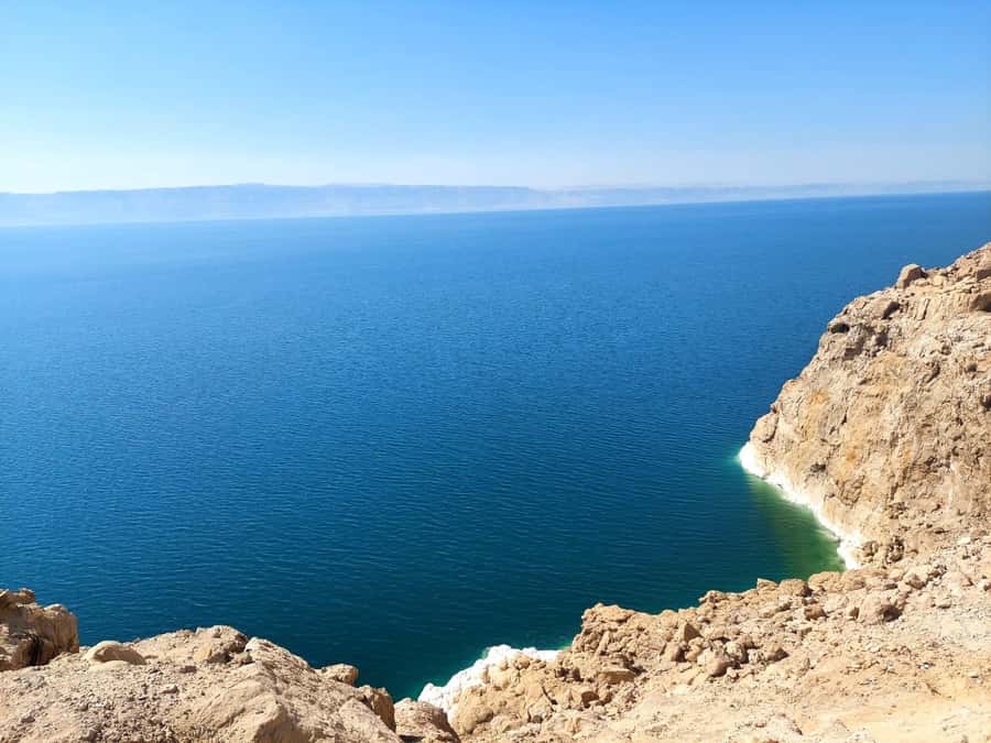 From Amman: Half-Day Tour to Dead Sea - Dead Sea floating at 400 meters below sea level