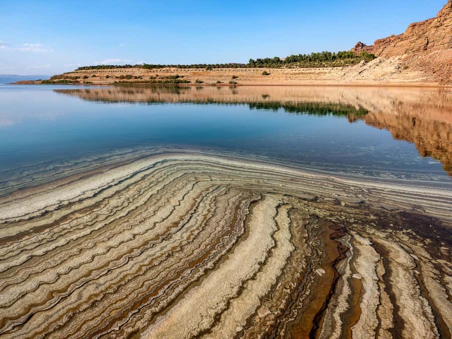 From Amman : Half-day tour to Dead sea and Crystal beach - Driver as the real tour engine: commentary, flexibility, and communication