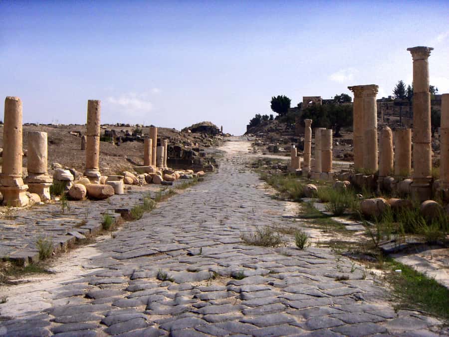 From Amman: Jerash, Ajloun Castle or Umm Qais Private Tour - Price and What $59 per Person Covers (and What It Does Not)