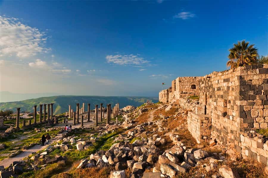 From Amman: Jerash, Ajloun Castle or Umm Qais Private Tour - Who This Tour Suits Best (and When It Might Not)