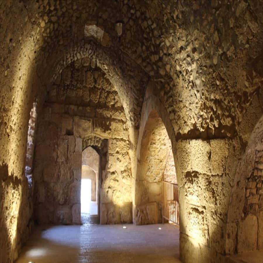 From Amman: Jerash &Ajloun &Um Qais Private Tour - Key Highlights You Should Know Before You Go