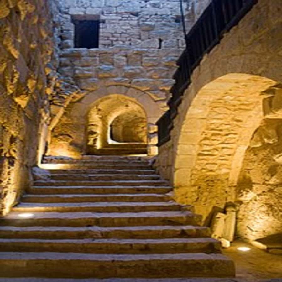 From Amman: Jerash &Ajloun &Um Qais Private Tour - Ajloun Castle in About 40 Minutes: Saladin’s Forces and Big Views
