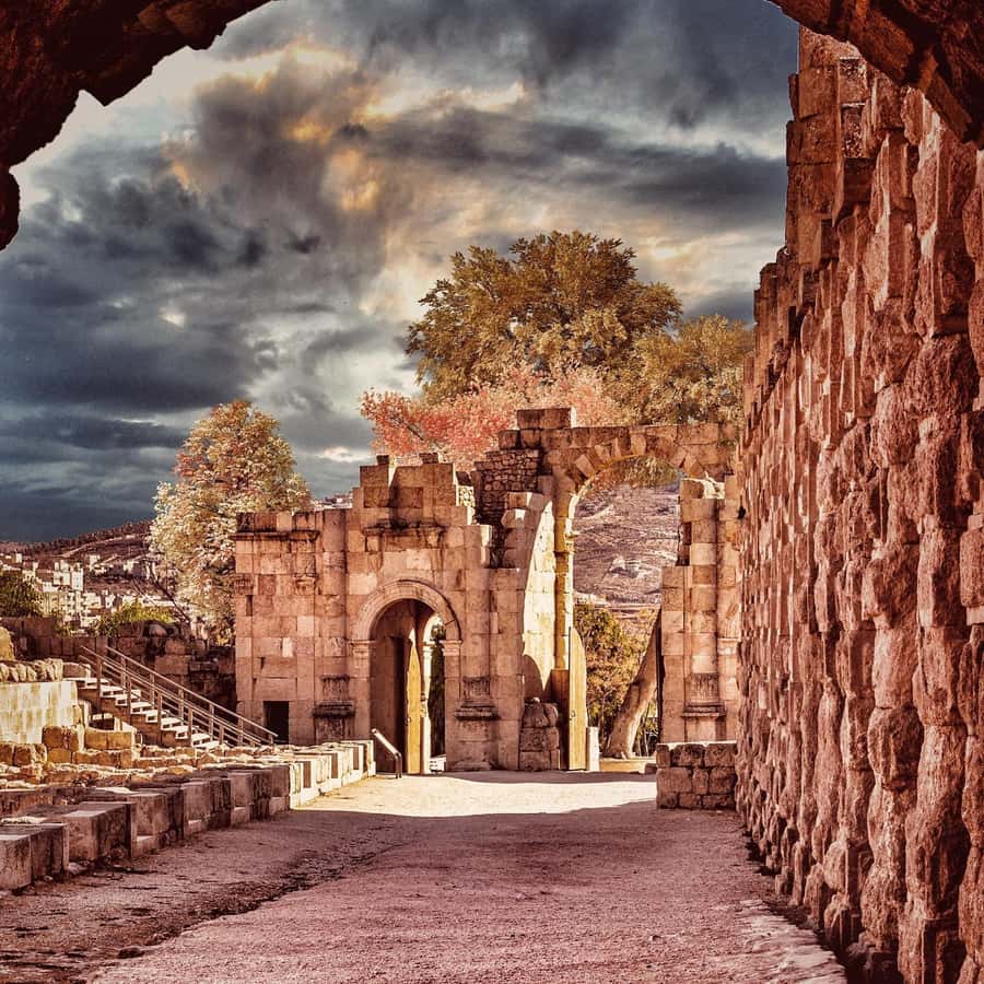 From Amman: Jerash &Ajloun &Um Qais Private Tour - Um Qais Roman Ruins: A Highlight to Confirm in Your Exact Option