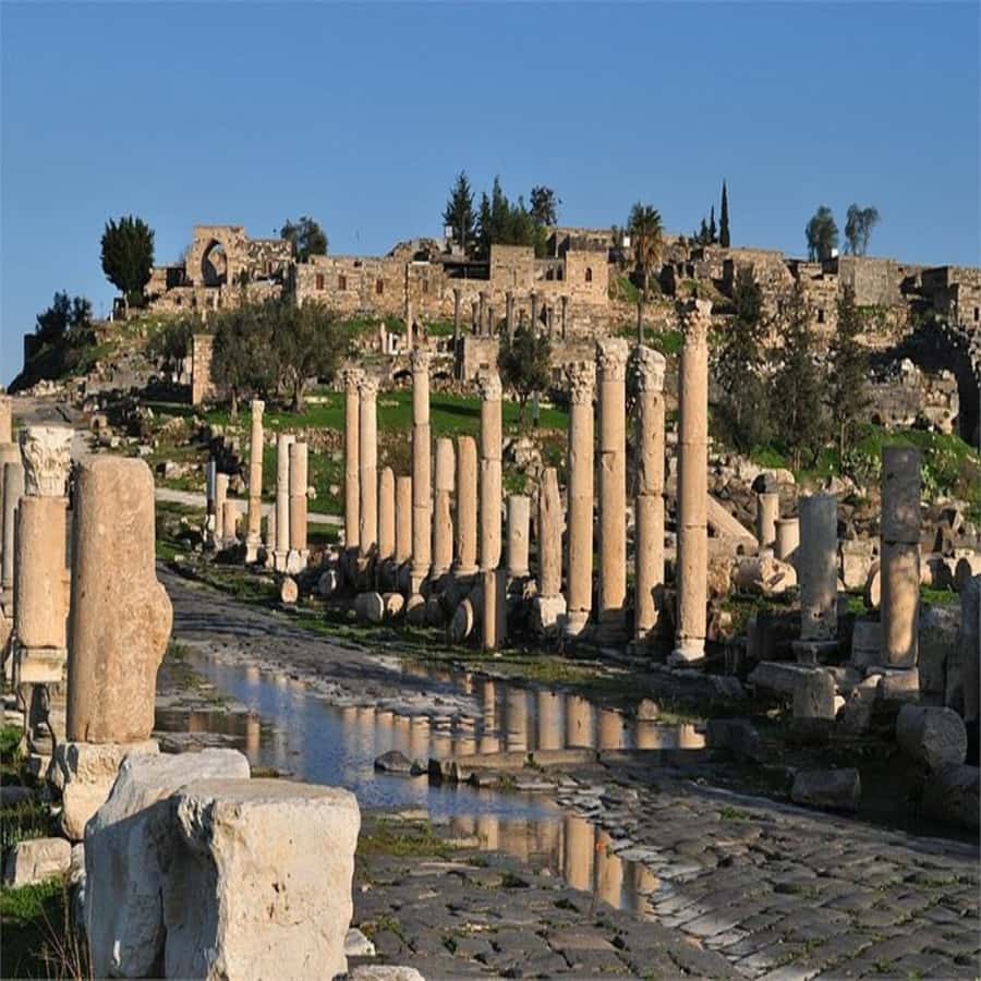 From Amman: Jerash &Ajloun &Um Qais Private Tour - What’s Included in the $70 Price, and What to Budget For