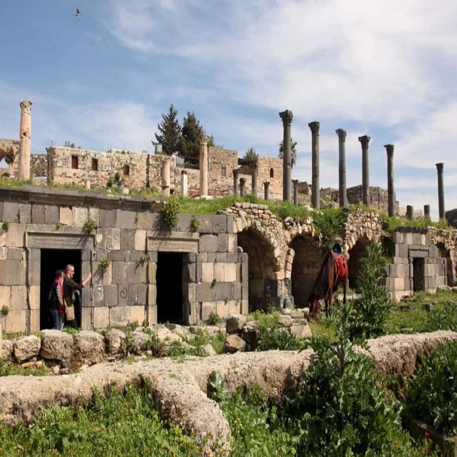 From Amman: Jerash &Ajloun &Um Qais Private Tour - How the Timing Feels: Enough Time, Not Endless Time