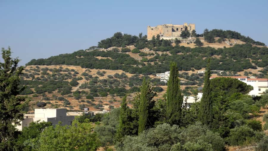 From Amman: Jerash and Ajloun Day Tour - Key highlights you should care about