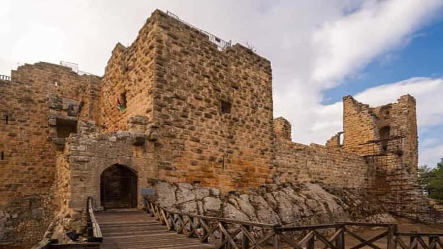 From Amman: Jerash and Ajloun Day Tour - Jerash Roman ruins: what to focus on when time is tight