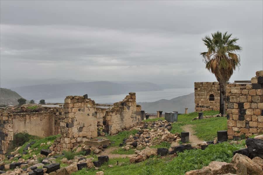 From Amman: Jerash, Umm Qais, and Jesus' Cave Private Trip - Key Things I’d Plan For