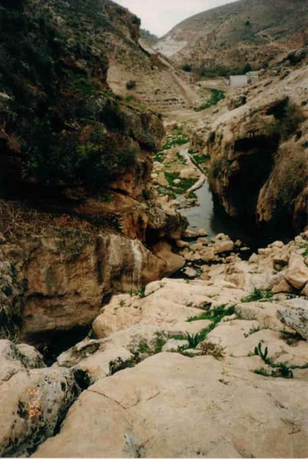 From Amman: Jerash, Umm Qais, and Jesus' Cave Private Trip - Price and Value: What You Pay for at $87 Per Person