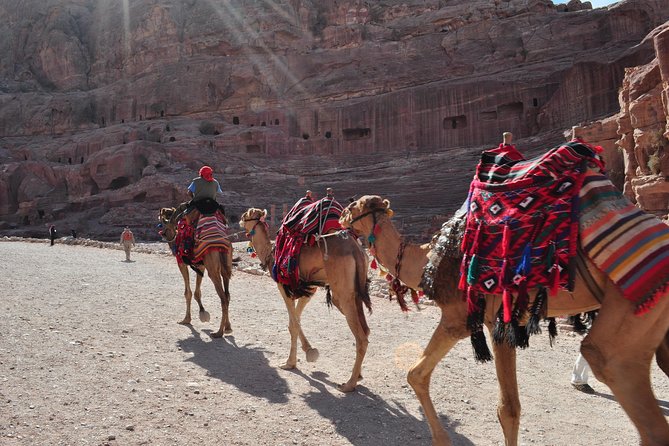 From Amman: one day tour to Petra - From your Amman hotel to Wadi Musa: setting yourself up right