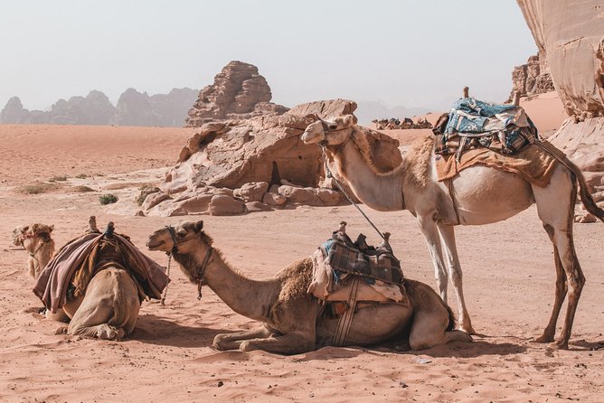 FROM AMMAN | Petra & Wadi Rum in one day | The Jordanian Mappers - Free time inside Petra: make it count without feeling chased