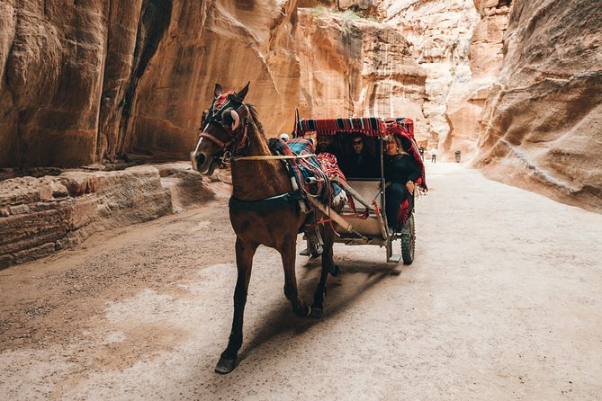 FROM AMMAN | Petra & Wadi Rum in one day | The Jordanian Mappers - The long road and your pickup plan with Jordanian Mappers