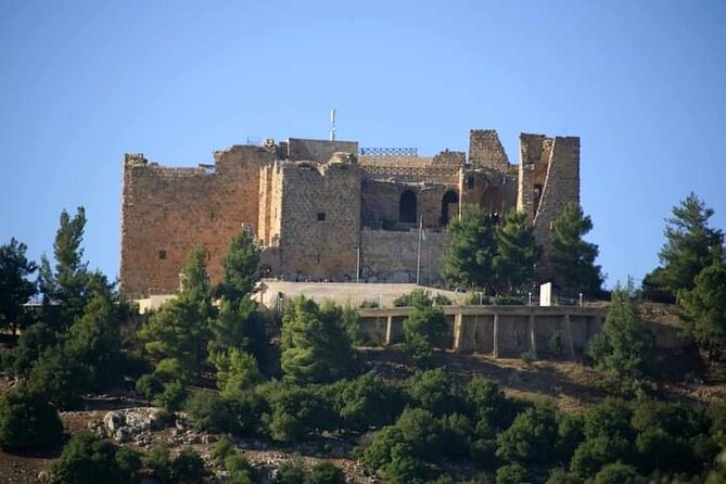 From Amman :Private day tour to Jerash and Ajloun - Ajloun Castle: a 12th-century hilltop fortress with Crusades-era context