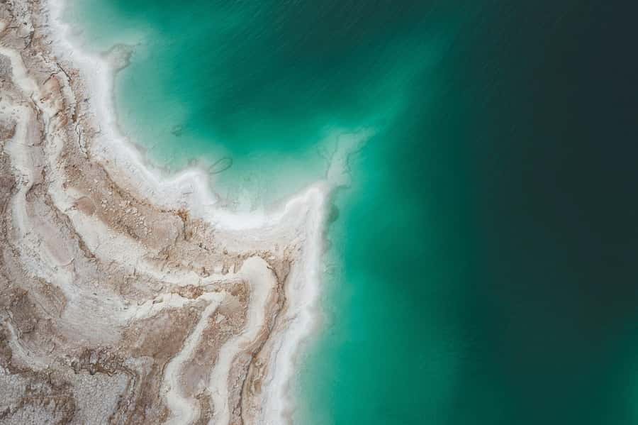 From Amman: Private Day Tour to Petra & Dead Sea - The Dead Sea Switch: Floating and Resort Beach Time