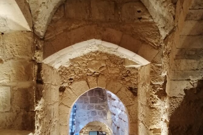 From Amman: Private Full Day Group Tour Jerash Ajloun and Amman - Key Highlights You’ll Actually Feel