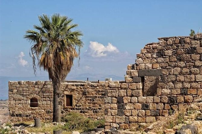 From Amman: Private Full Day Tour Jerash Ajloun & Um Qais - Price and value: what $85 buys you and what can cost extra
