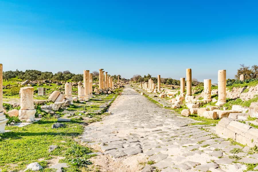 From Amman: Private Jerash, Ajloun Castle, and Umm Qais Tour - Ajloun Castle: a Saladin-era fortress with forest air and serious viewpoints