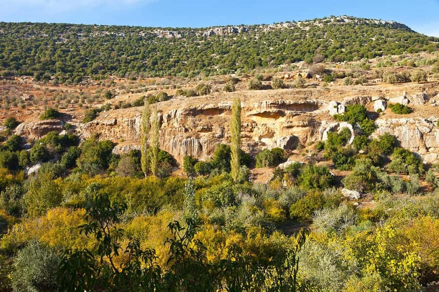 From Amman: Private Jerash, Ajloun Castle, and Umm Qais Tour - How private pacing keeps the day enjoyable, not exhausting
