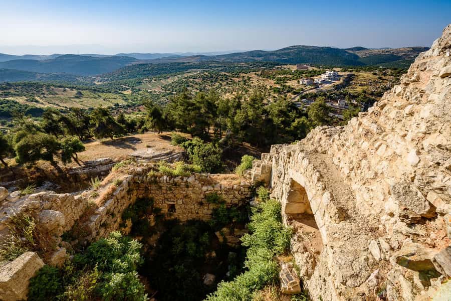 From Amman: Private Jerash, Ajloun Castle, and Umm Qais Tour - Hiring a local guide: when it helps and when it might not