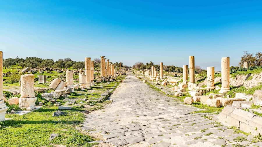From Amman: Private Jerash, Ajloun Castle, and Umm Qais Tour - Should you book this tour?