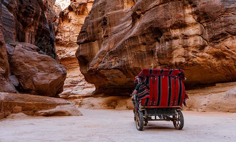 From Amman: Private Petra Day Trip with Guide - Petra’s main magic trick: the Siq to the Treasury reveal