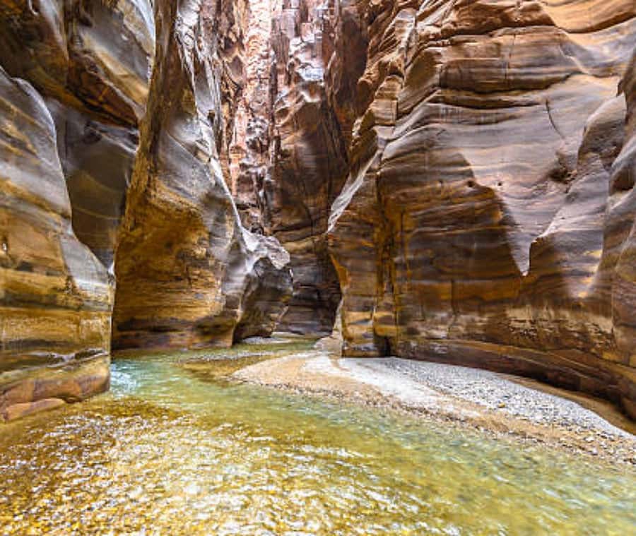 From Amman:To Al-Mujib Canyon & Dead Sea Salt Beach Day Trip - Wadi Mujib Al-Mujib Canyon: A Wet Hike with Real Obstacles