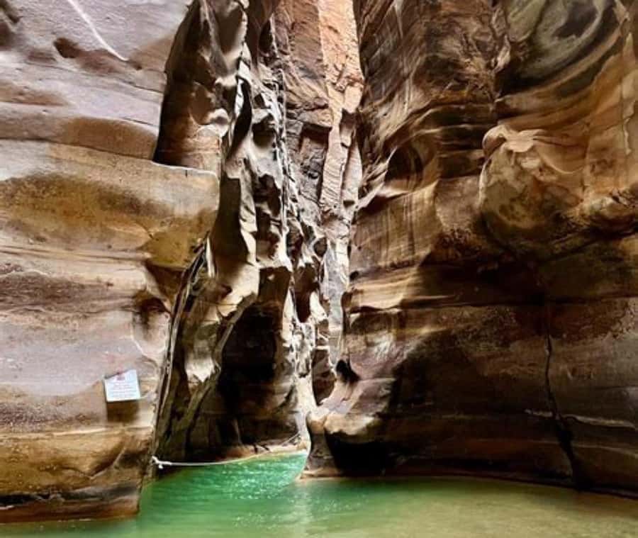 From Amman:To Al-Mujib Canyon & Dead Sea Salt Beach Day Trip - What You See in the Canyon: Cliffs, Natural Pools, and the Waterfall Finish