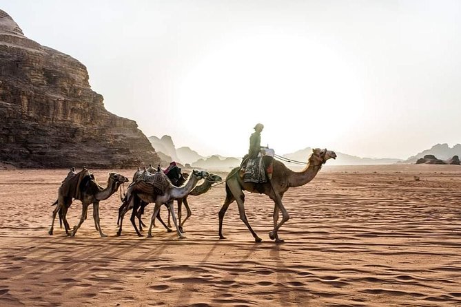 From Amman to Petra and Wadi rum ( Private two days) - Wadi Rum Morning: Jeep Time And Desert Activities