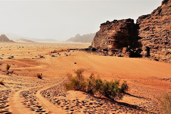 From Amman to Petra and Wadi rum ( Private two days) - How Private Timing Helps You See More, Stress Less