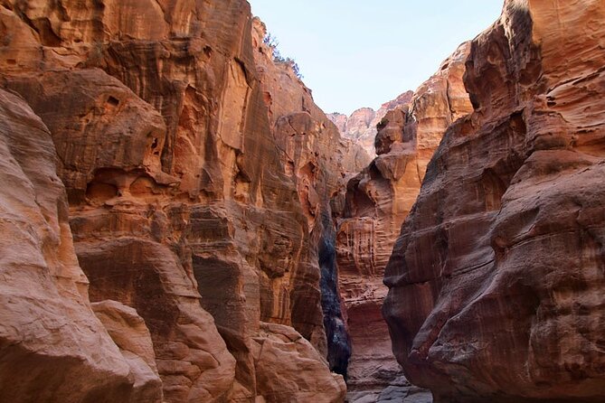 From Amman to Petra and Wadi rum ( Private two days) - Who Should Book This Petra And Wadi Rum Private Tour?