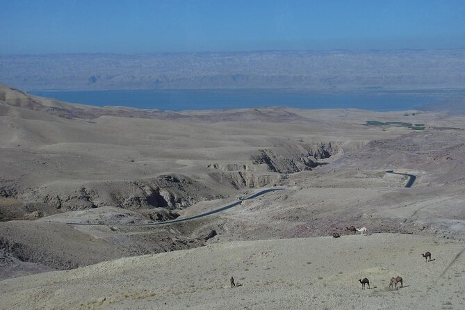 From Amman to West ( Madaba, Mt Nebo, baptism site and dead sea) - What’s included, what’s not, and how to budget smarter