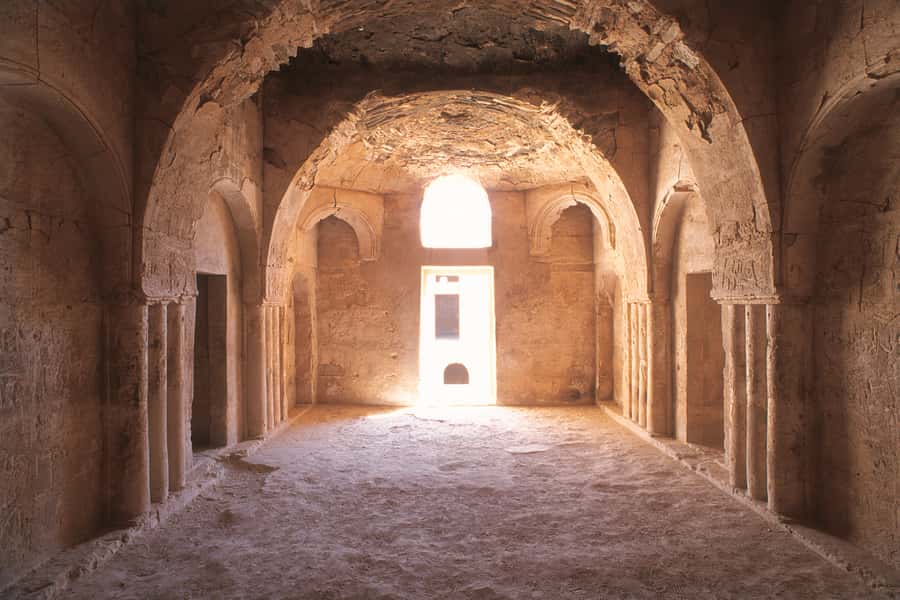 From Amman: Umayyad Desert Castles Tour with Transfer - Transportation and Comfort: AC Vehicles, Professional Drivers, and Small Perks