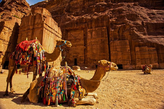From Aqaba a Day Excursion to Petra - Key Highlights At A Glance