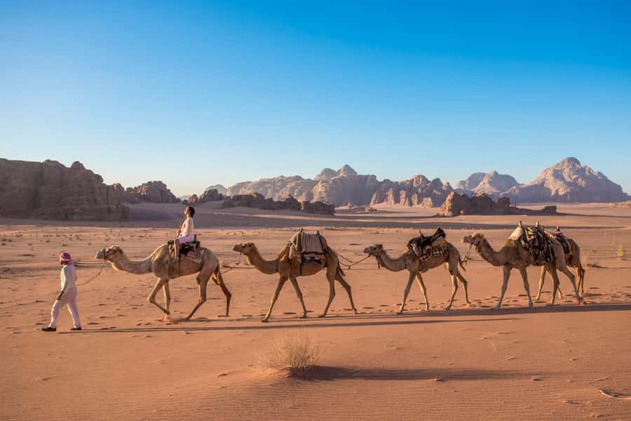 From Aqaba: Jeep Tour to Wadi Rum Desert - Wadi Rum From Aqaba: Why This Desert Day Feels Different