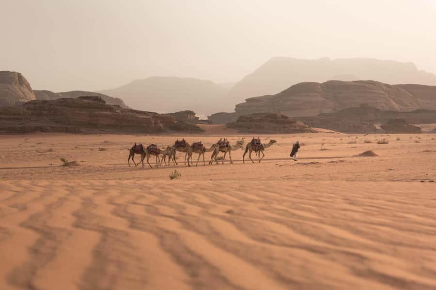 From Eilat, Jerusalem, Tel Aviv: Petra & Wadi Rum 3-Day Tour - Day 2 Petra with a guide: Khazneh, Nabatean highlights, and overnight in Petra