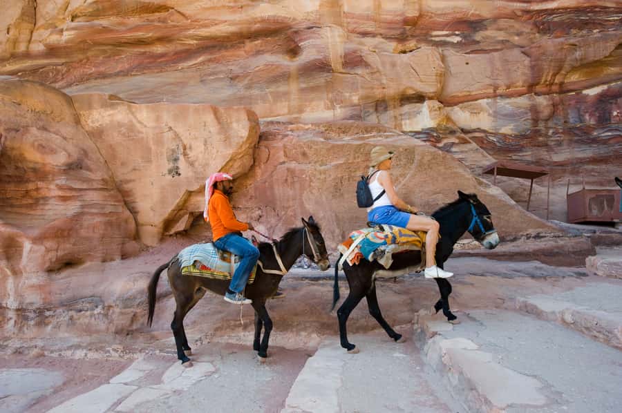 From Eilat: Petra Day Group Tour - Who this Petra day trip fits best