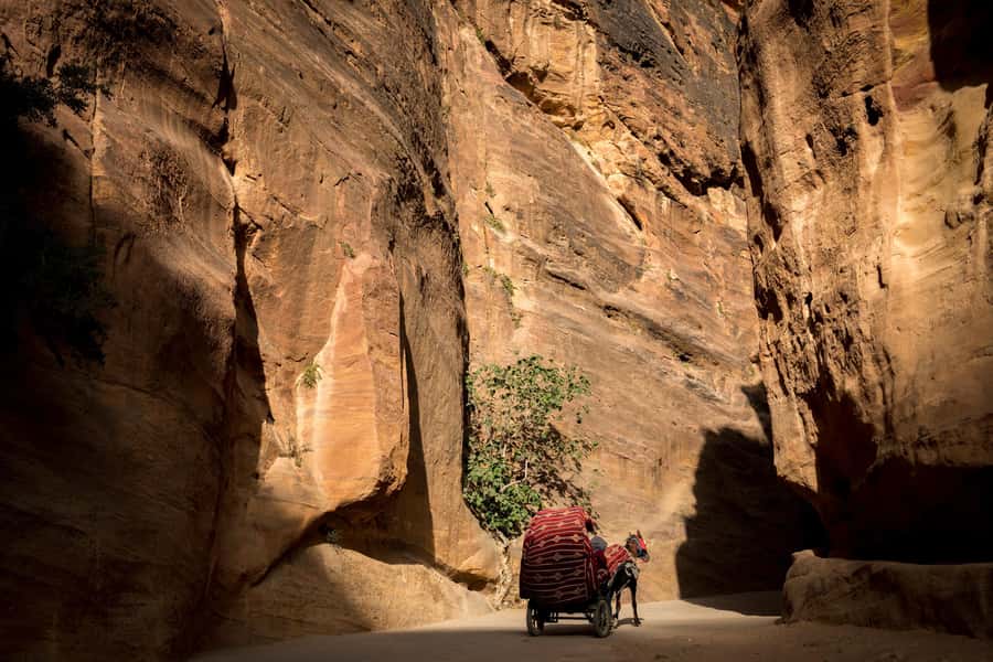 From Jerusalem: Petra 2-Day Tour - Logistics That Can Make or Break Your Comfort