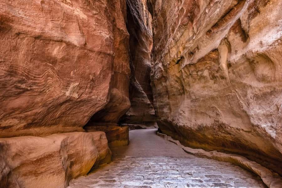 From Tel Aviv: Guided Day Trip to Petra with Lunch - Border crossing help, visa fees, and the paperwork that can slow you down