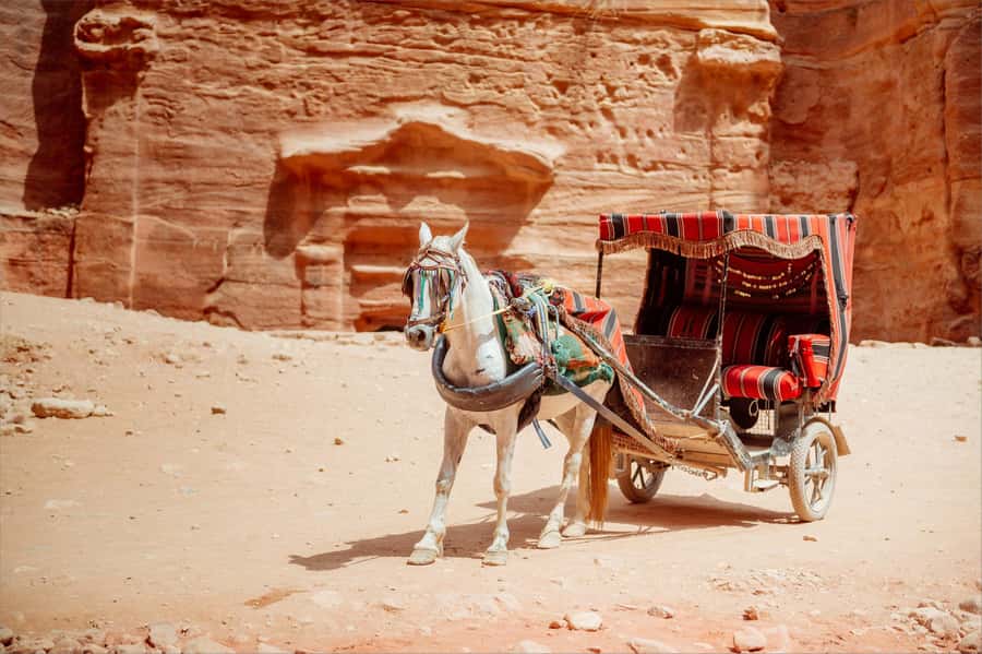 From Tel Aviv: Petra 1-Day Guided Tour with Transfers - The return drive with Wadi Rum viewpoints and the late-day reality