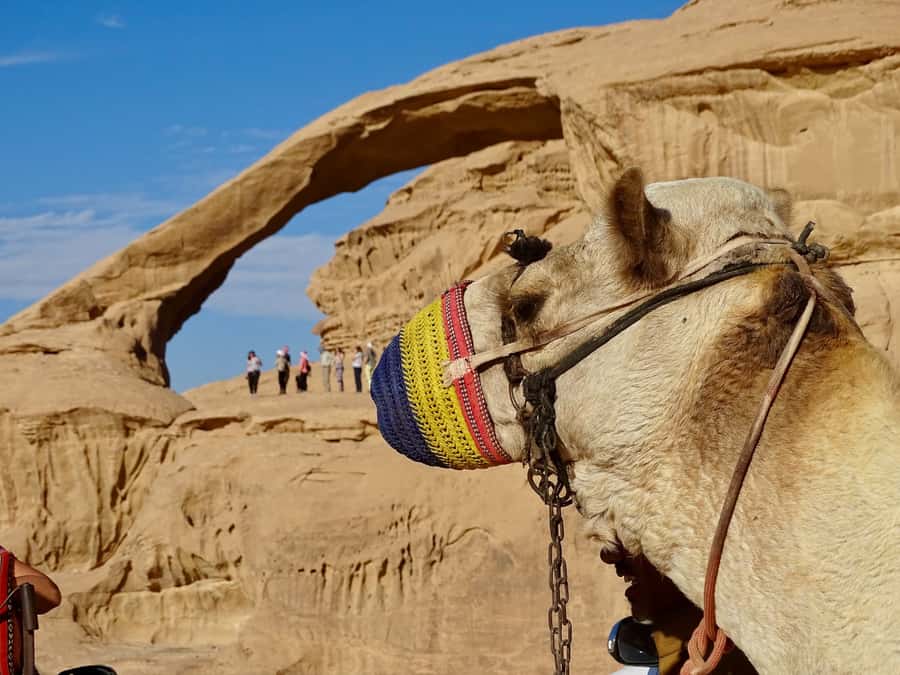 From Tel Aviv: Petra & Wadi Rum Glamping 2-Day Tour - Who This Tour Fits Best (And Who Might Prefer Another Plan)