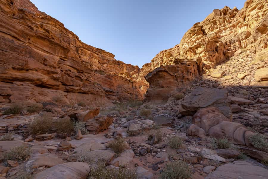 From Wadi Rum: 2-Day Hiking Adventure and Jeep Tour - Key things to know before you go