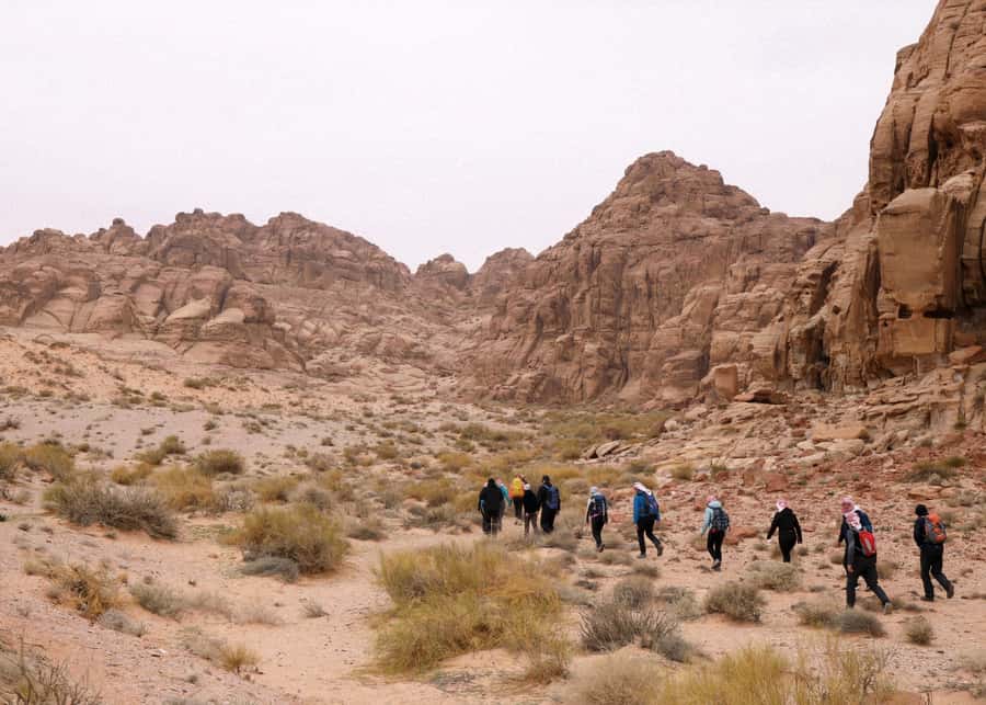 From Wadi Rum: 2-Day Hiking Adventure and Jeep Tour - Why this Wadi Rum 2-Day combo of jeep and hiking feels worth the effort