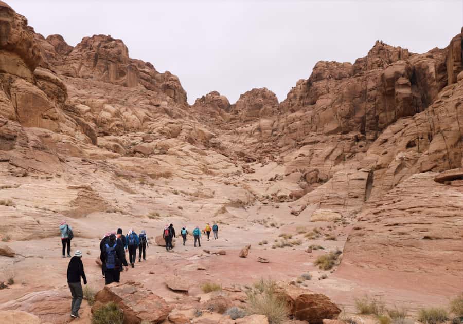 From Wadi Rum: 2-Day Hiking Adventure and Jeep Tour - Al Hash Mountain, rock formations, and the viewpoints that shape the whole trip