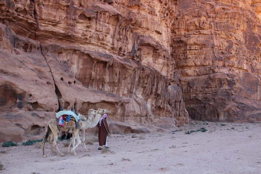 From Wadi Rum: Camel Ride Experience with Tea and Guide - The short jeep ride and the safety briefing that sets the tone