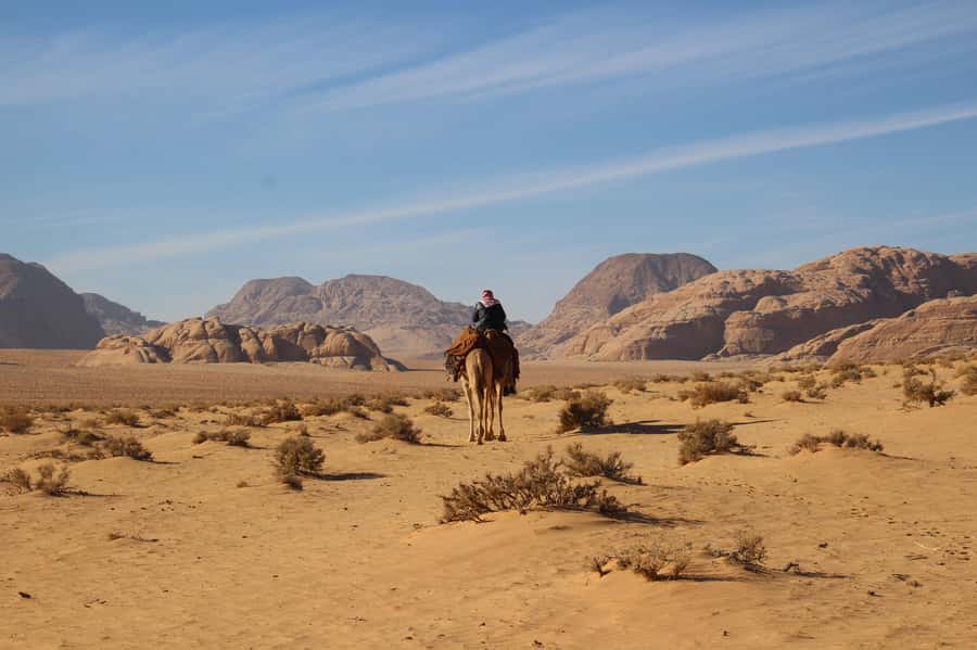 From Wadi Rum: Camel Ride Experience with Tea and Guide - Price and value: what $31 really covers in Wadi Rum