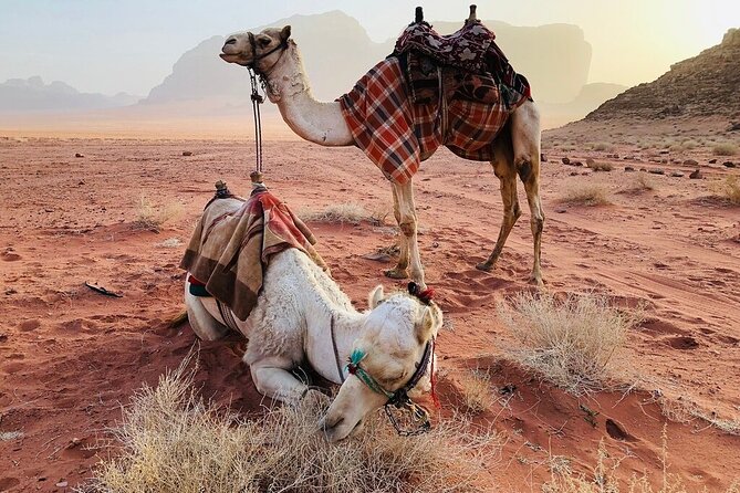 Full Day 4x4 Classic Desert Tour with overnight in private tent - Um Fruth Rock Bridge: the best kind of photo moment