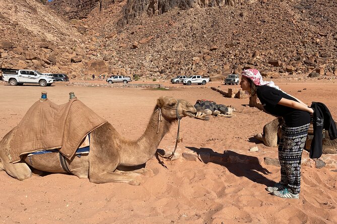 Full Day 4x4 Classic Desert Tour with overnight in private tent - Dinner, breakfast, and coffee or tea at the Bedouin camp